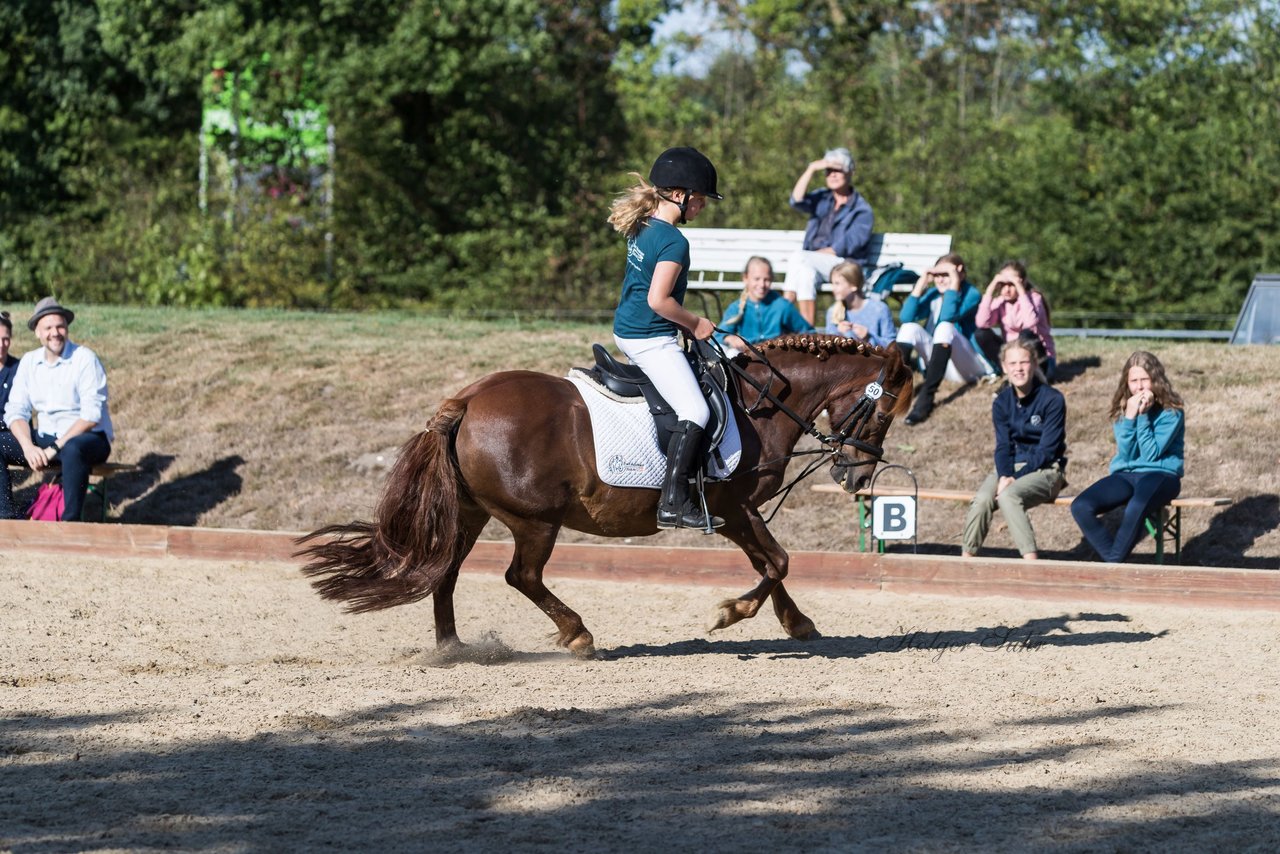 Bild 55 - Pony Akademie Turnier